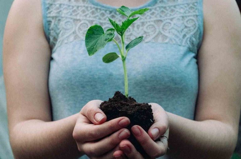 تعبیر خواب: بازسازی مرزها و هویت در فضای سوخته
